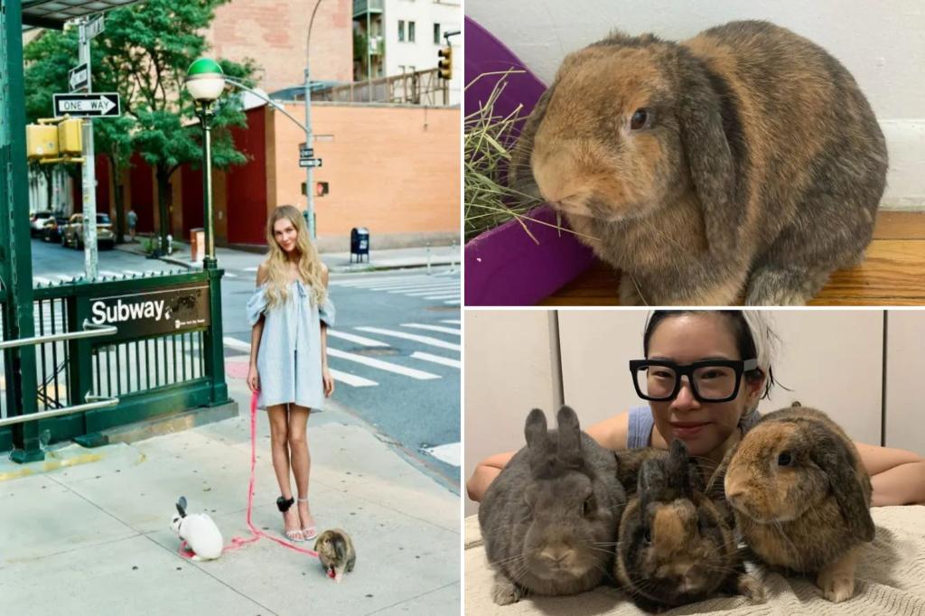 Rabbits featured in Anna Delvey photoshoot abandoned in Prospect Park, causing anger: 'Regret it deeply'
