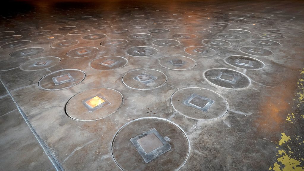 Radioactive wasp nest discovered at nuclear bomb site in South Carolina