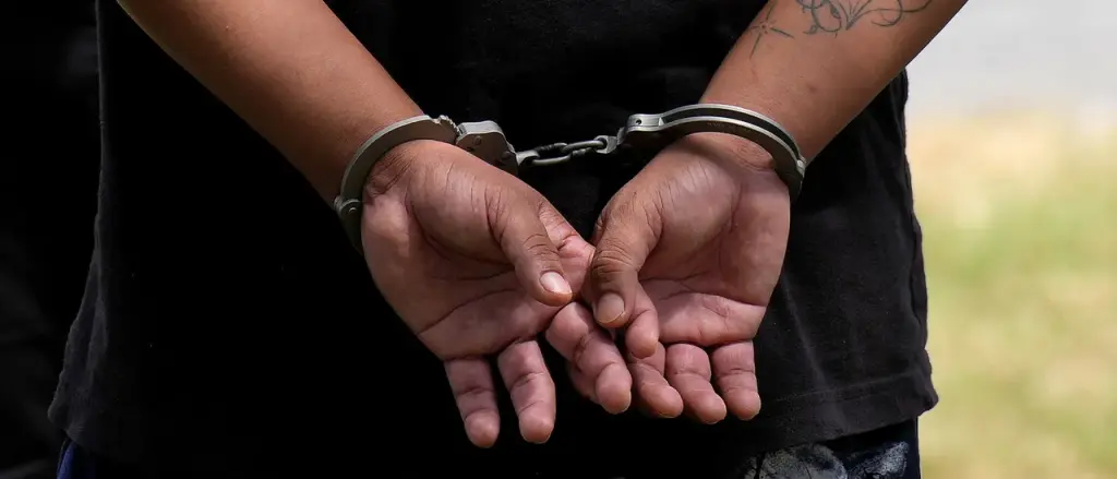 Reporter Says Illegal Immigrant Had 'Mostly Clean Driving Record,' Appears to Remove Account After DHS Responds