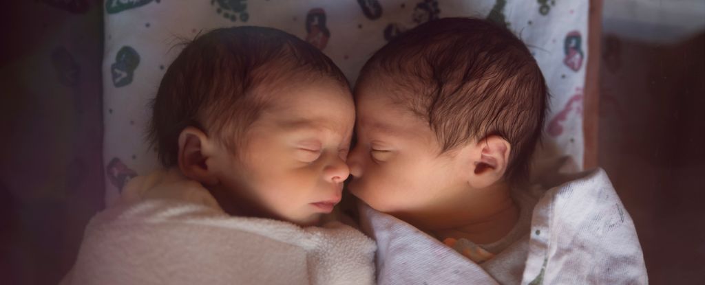 Research Shows the Total Number of IVF Babies Born Around the World