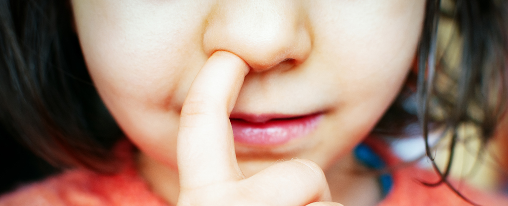 Research on Mice Indicates a Unexpected Connection Between Nose-Picking and Alzheimer's