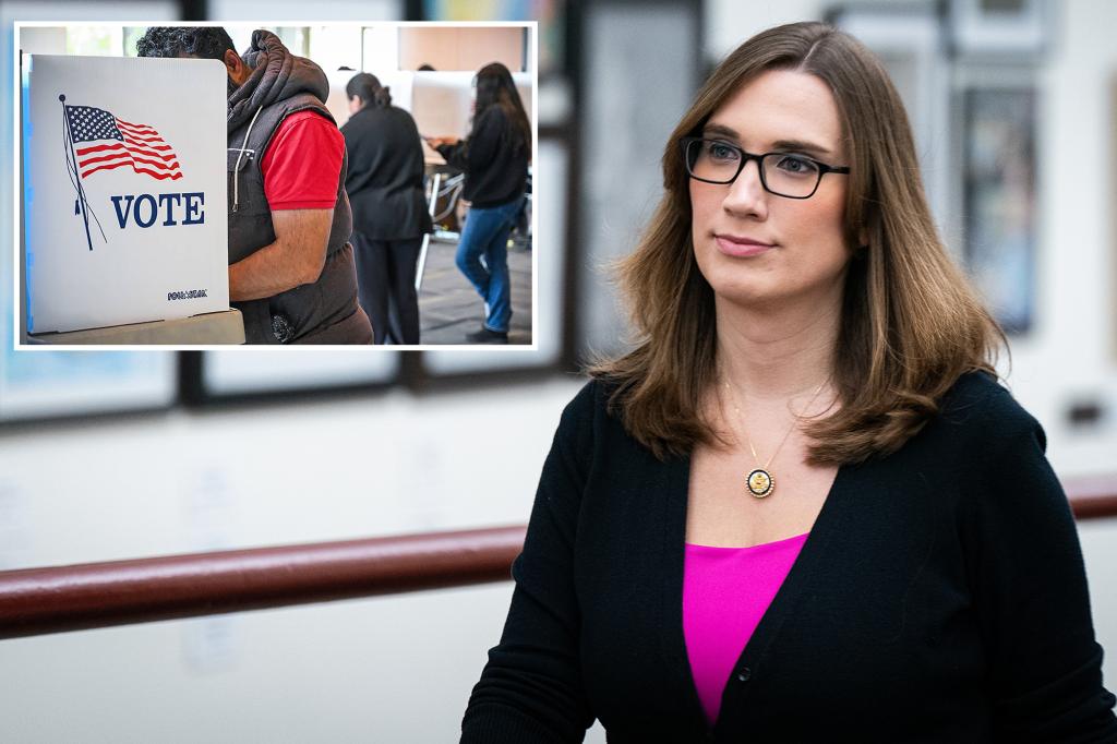 Sarah McBride acknowledges that voters believe Democrats have treated them poorly.