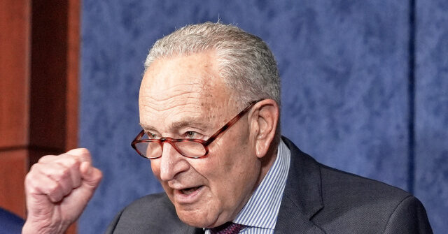 Schumer Criticized for Creating a Fake Couple that Shaped His Entire Career