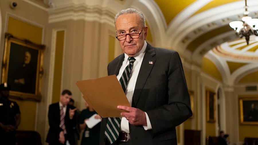 Schumer: Trump attack on mail-in voting 'not based in fact or reality'