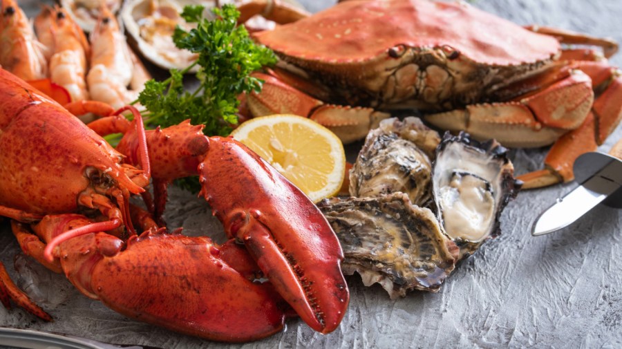 Seafood deception: Is your fish suspicious?