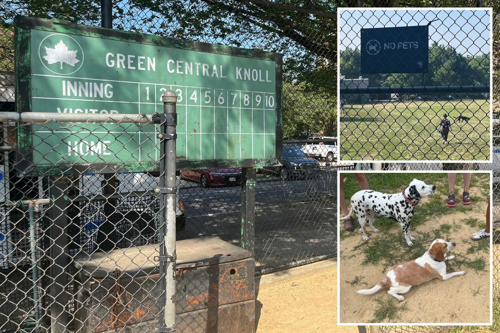 Self-absorbed NYC pet owners transform children's playing field into an unpermitted, waste-ridden dog park