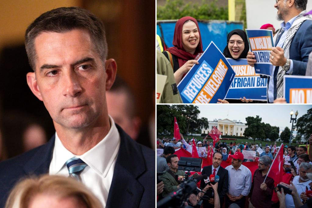 Senator Tom Cotton calls for an inquiry into a disputed Muslim organization