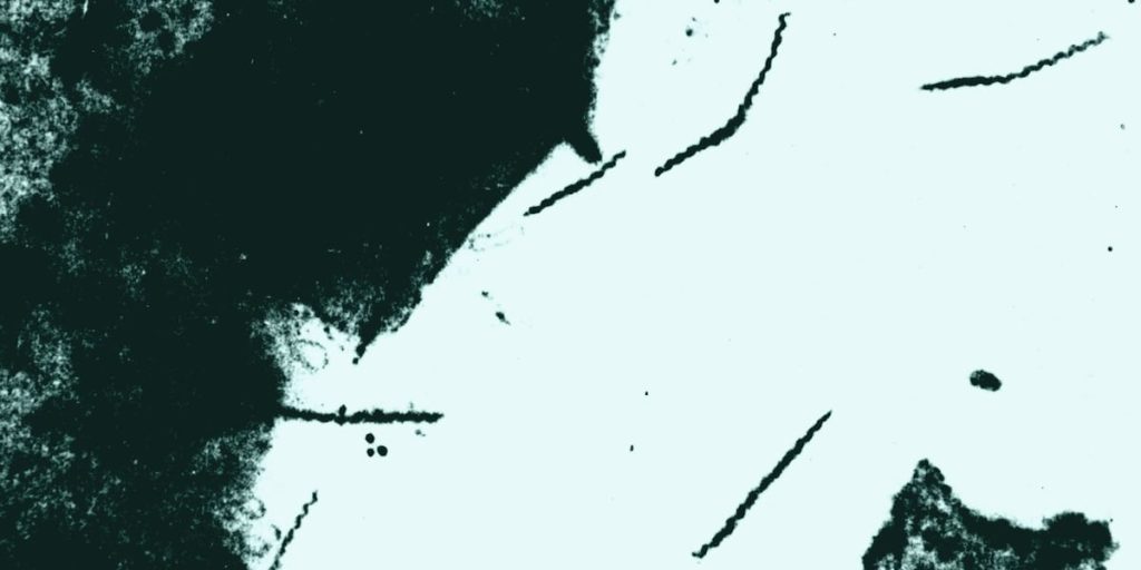 Sexually transmitted diseases are widespread in Mississippi, with one now classified as an epidemic.