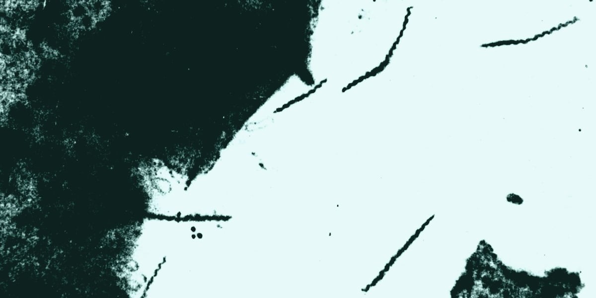 Sexually transmitted diseases are widespread in Mississippi, with one now classified as an epidemic.