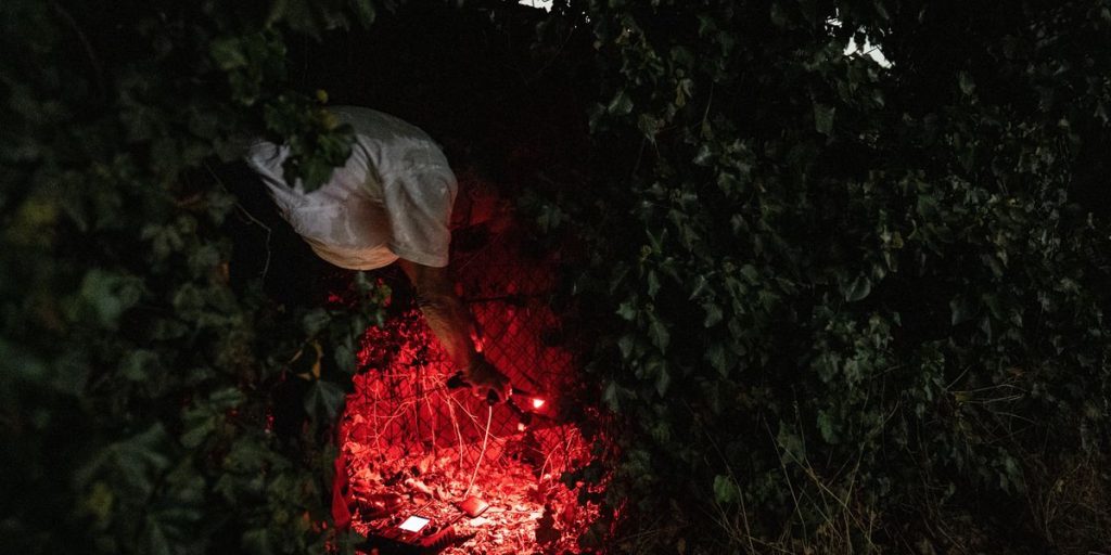 Skip calling 911: Signal jammers leave you to fend for yourself