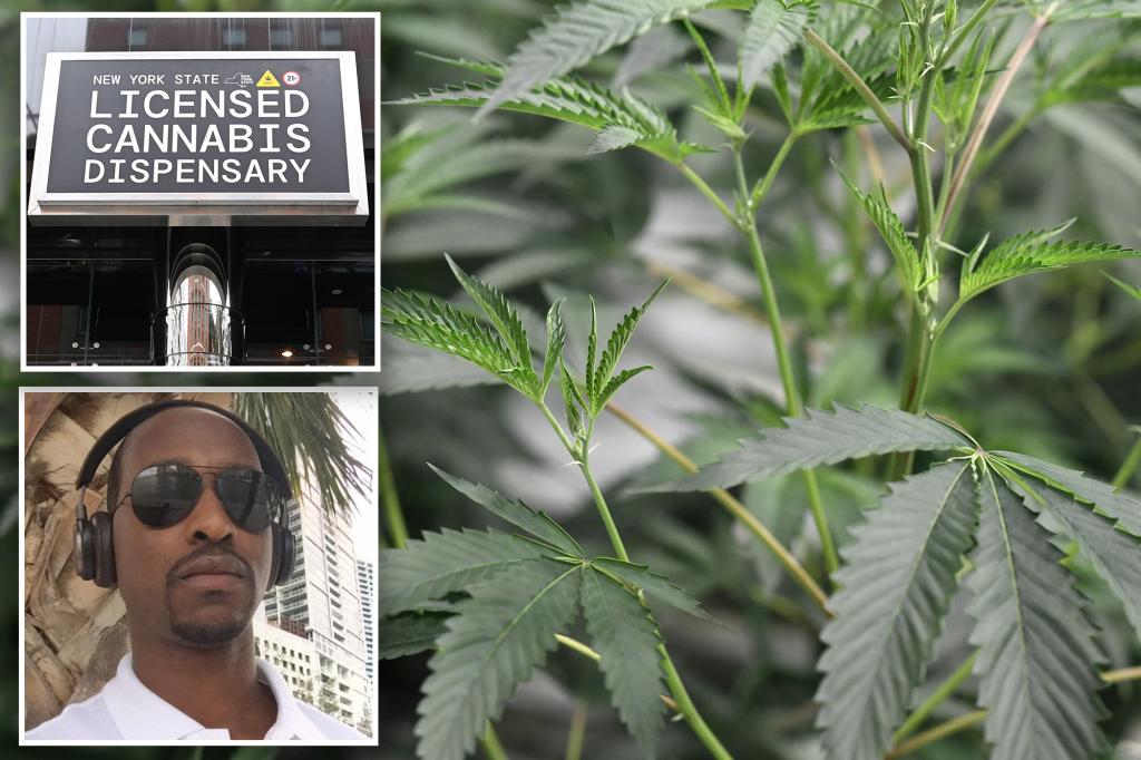 Southampton altered its zoning regulations to prohibit a legal cannabis store: lawsuit