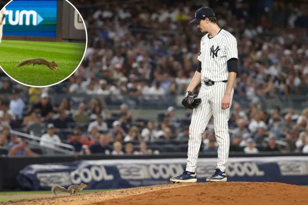 Squirrel disrupts Yankees-Red Sox game in strange encounter