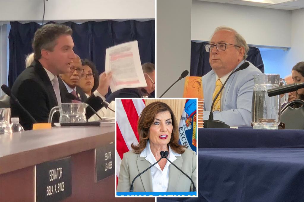 State senator presents fresh evidence indicating NY's huge $11B homecare contract may have been manipulated.