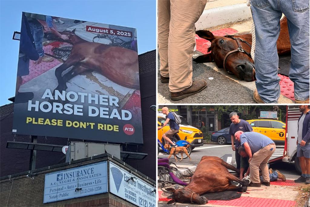 Striking billboard of deceased Central Park carriage horse displayed over NYC street
