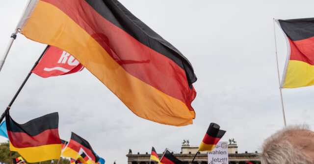 Support for Germany's AfD Reaches New High as Establishment Coalition Declines