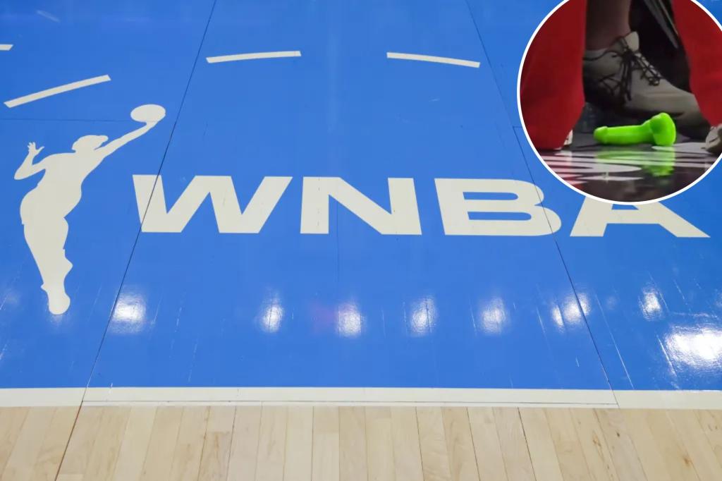 Supporter detained for tossing a sex toy onto the court during a WNBA match