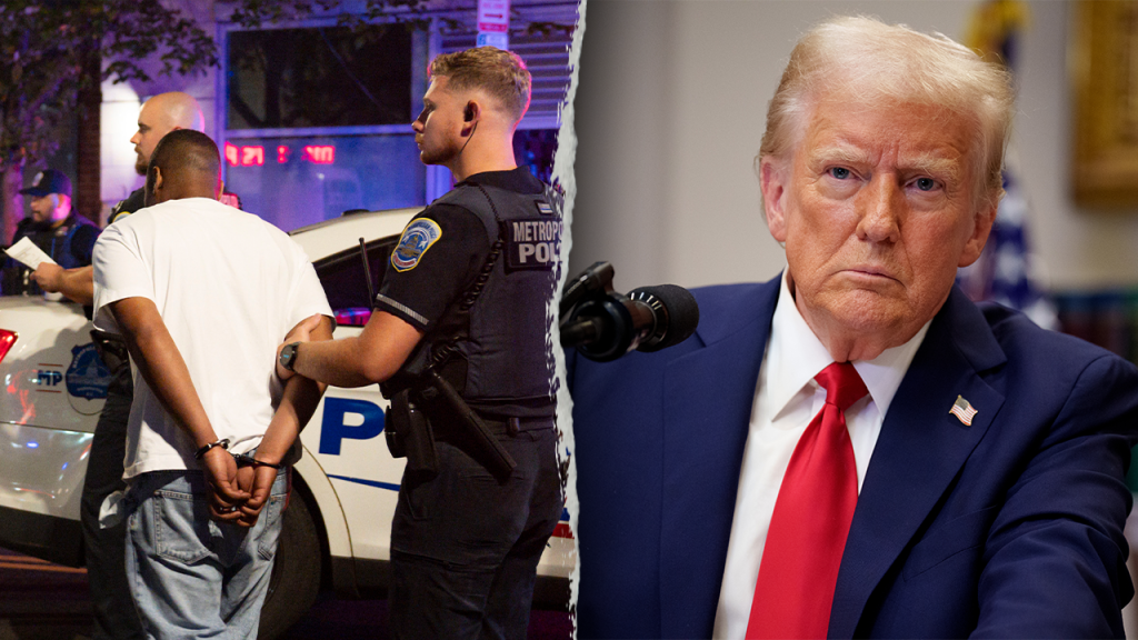 Survey reveals 81% of Americans consider crime a significant problem, 53% support Trump's approach.