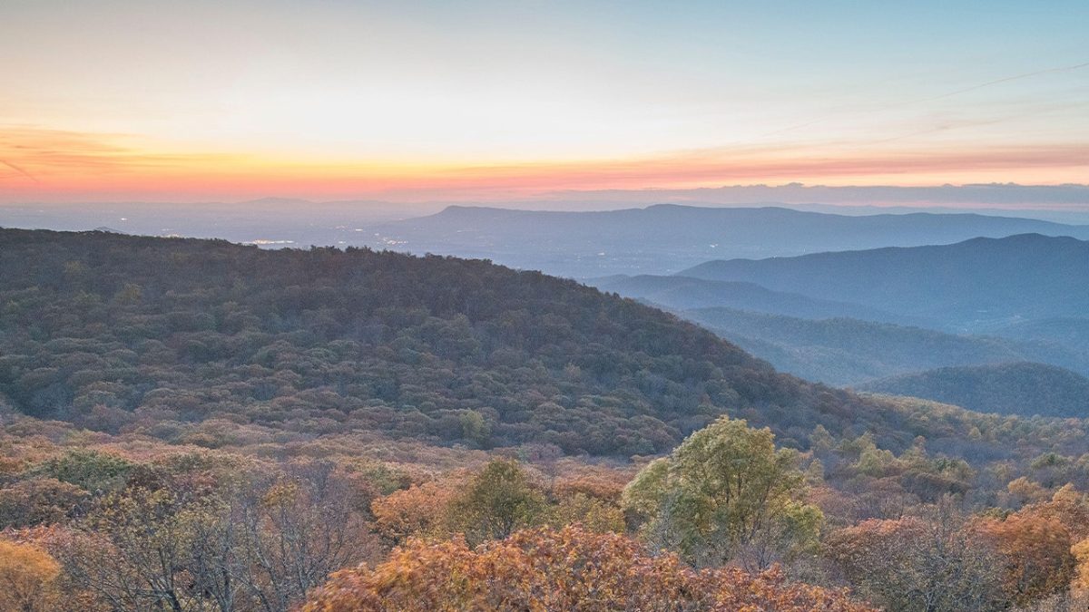 Suspect in home invasion fatally shoots mother of country music singer in Virginia