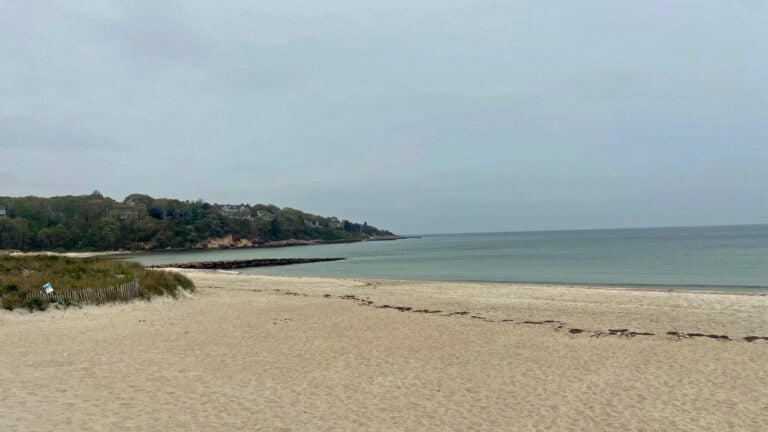 Swimmer in Cape Cod contracts uncommon bacteria