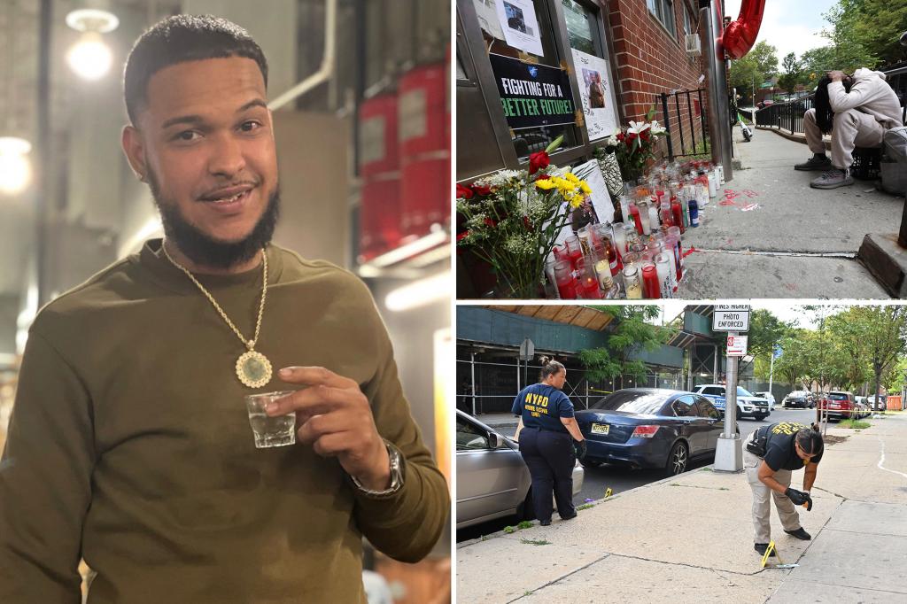 Teenager in NYC with a history of trouble faces murder charges as a violent summer in the Bronx escalates.