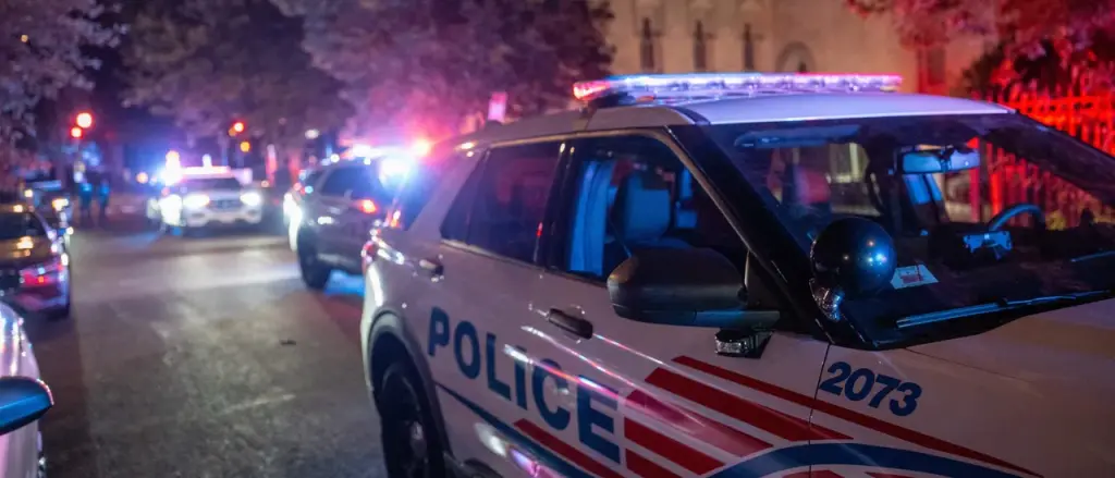 Teens Charged with Carjacking Released After Attack on DOGE Employee