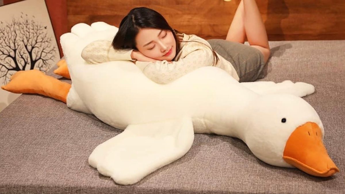 The 15 strangest items available for purchase on Amazon