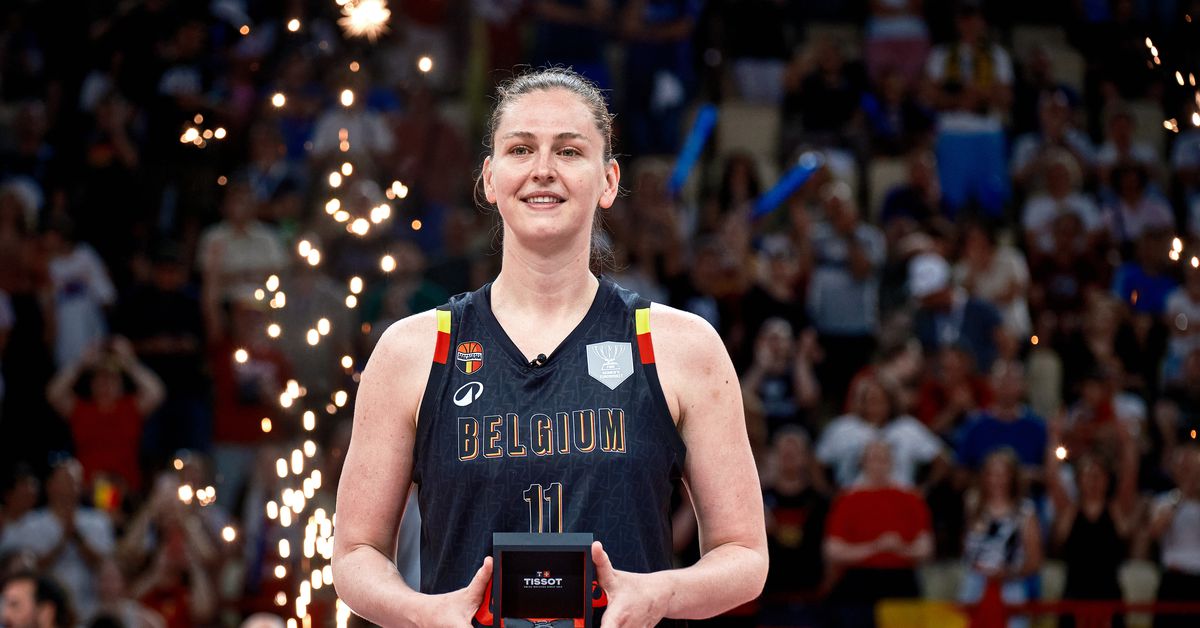 The New York Liberty's signing of Emma Meesseman comes with one drawback