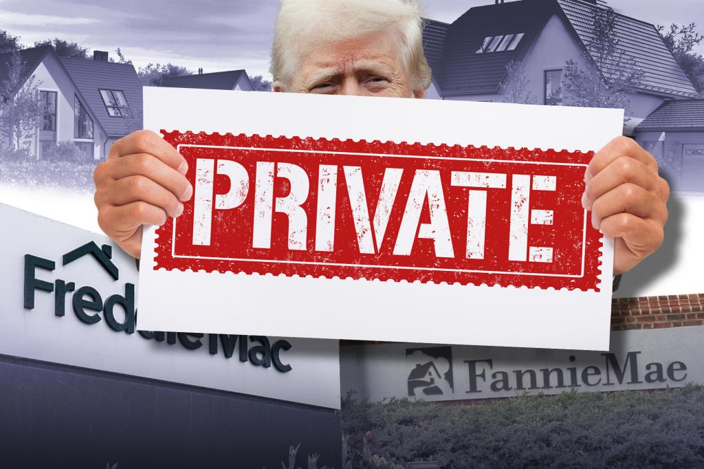 The challenges of privatizing Fannie Mae and Freddie Mac