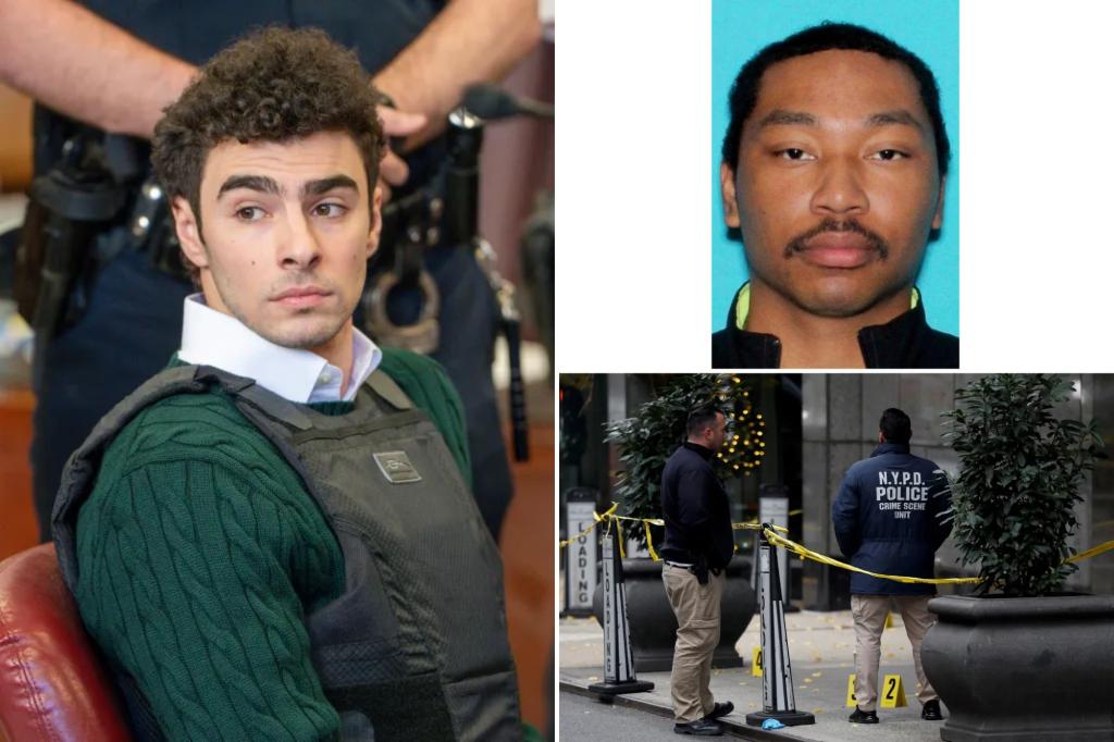 The death of the UnitedHealthcare CEO has motivated supporters, according to prosecutors.