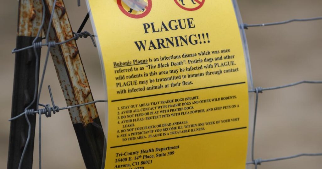 The plague has resurfaced in California. This is what you need to know about its danger.