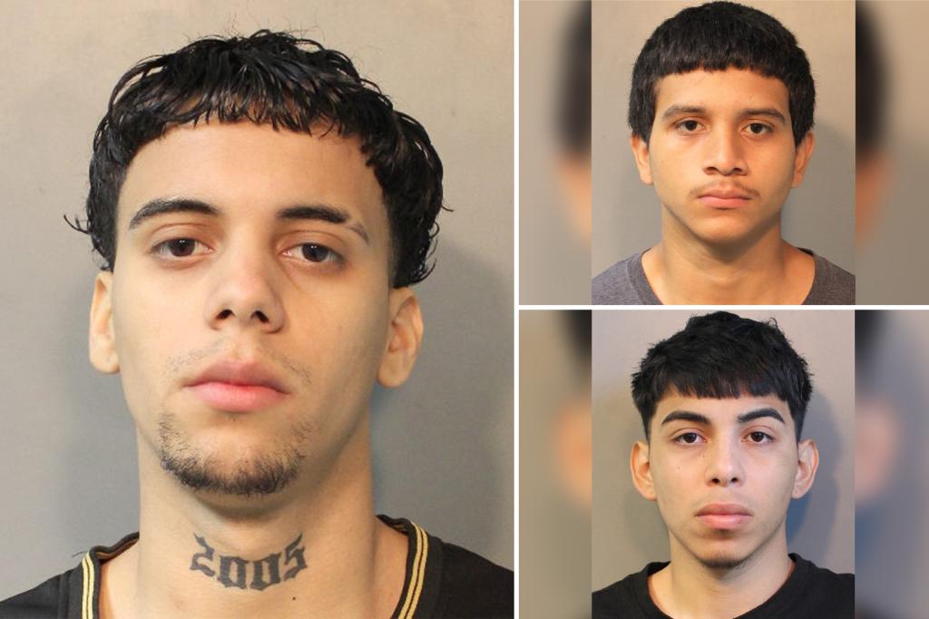Three MS-13 migrants arrested in Nassau County during a joint ICE operation are charged with 14 counts of attempted murder.