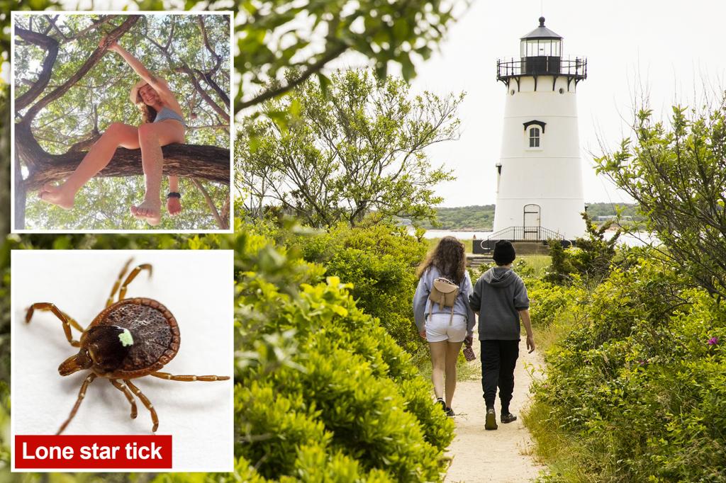 Tick bites on Martha’s Vineyard are leading residents to adopt a vegan diet due to alpha-gal syndrome.