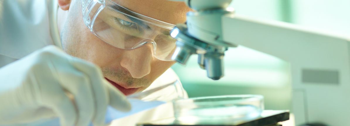 Tilray (TLRY) Valuation under Review as U.S. Reclassification and European Growth Drive Stock Increase