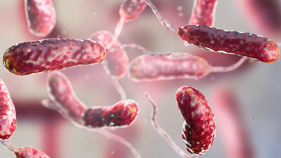 Tips from experts on how to prevent infection from flesh-eating bacteria this summer