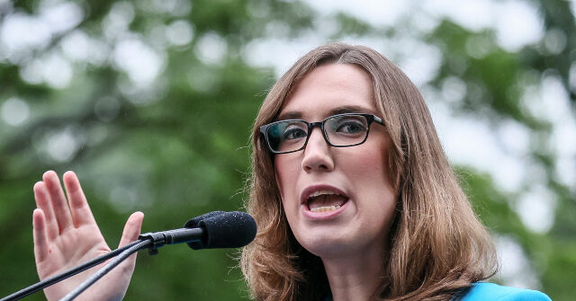 Trans Democratic Representative Claims Trump Is Waging an 'All-Out Assault' on 'American Democracy'