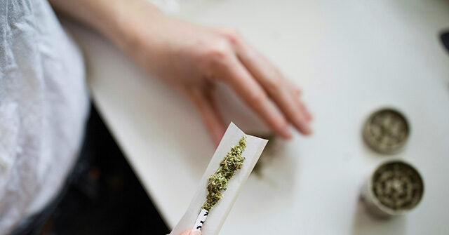 Trump Administration Looks at Changing Cannabis Classification to a Less Dangerous Category