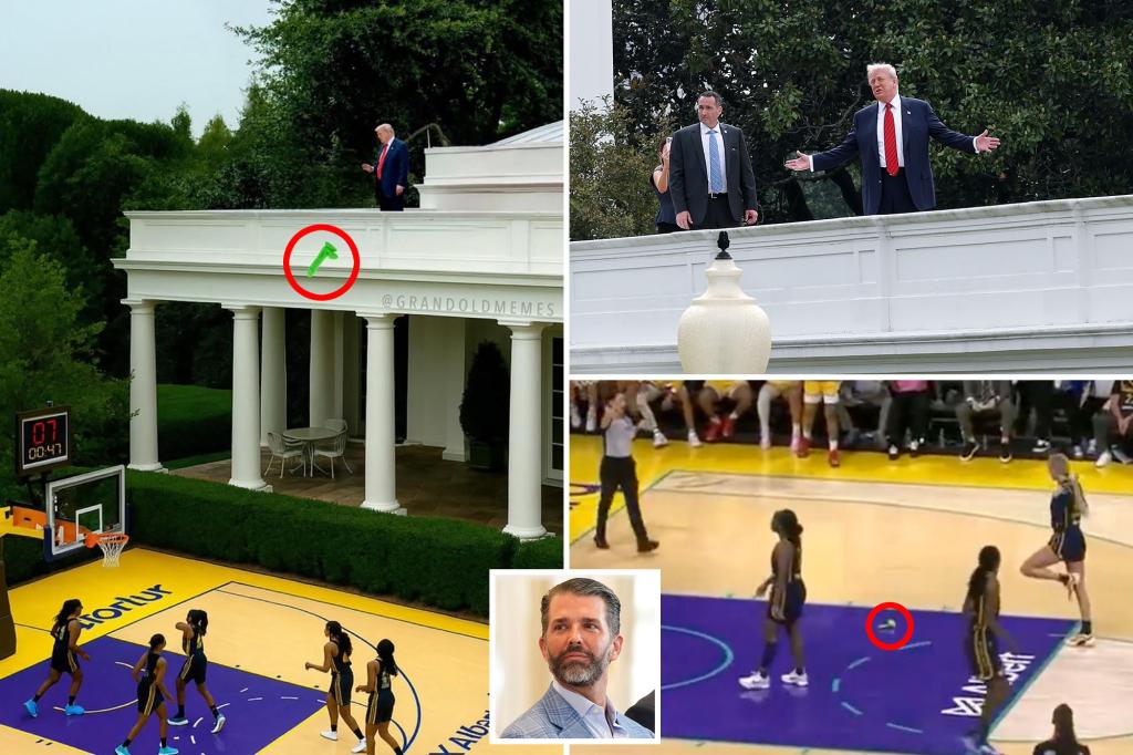 Trump Jr. shares a photo of the president throwing a sex toy onto a WNBA court.