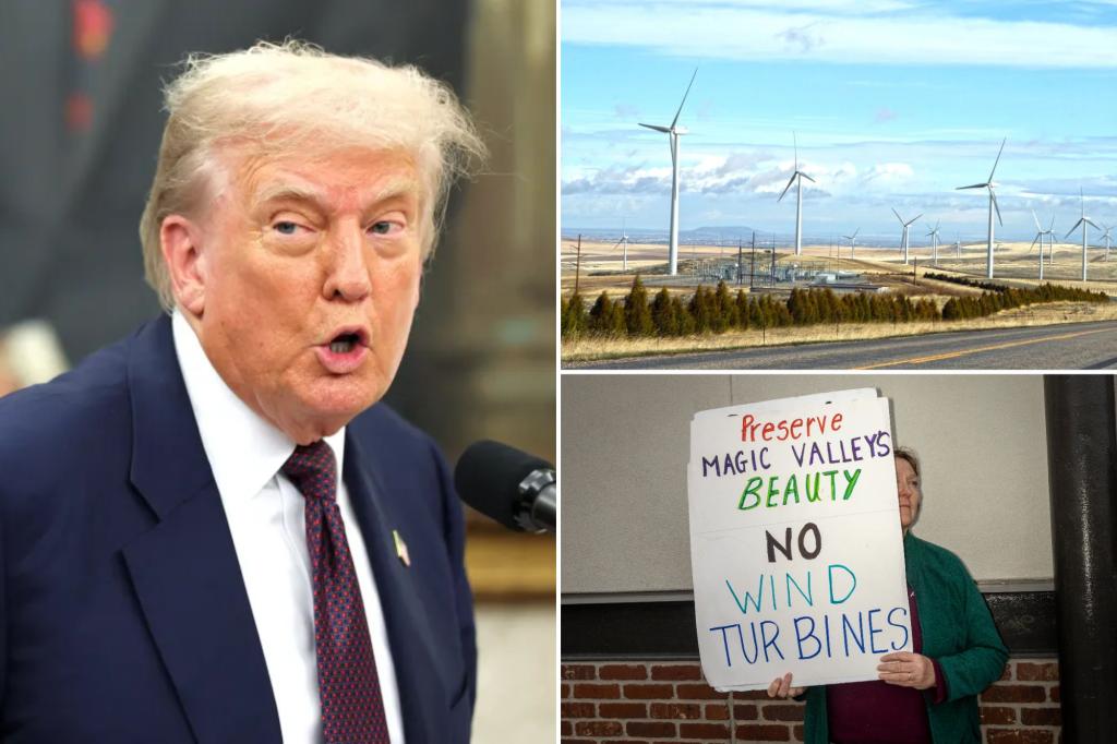 Trump administration cancels Biden's approval of 'irresponsible' wind farm project in Idaho