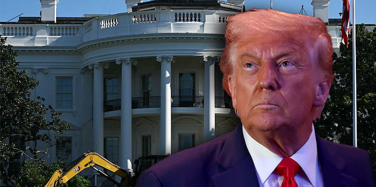 Trump designates expert for the UFC-White House event