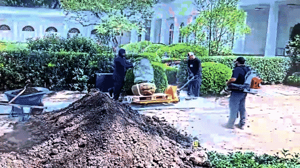 Trump releases security video of supposed damage to limestone in the White House Rose Garden