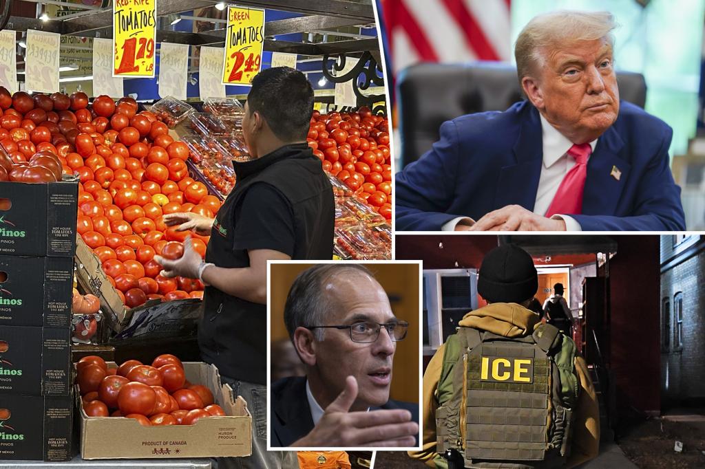 Trump's push for mass deportations could raise inflation to 4% next year