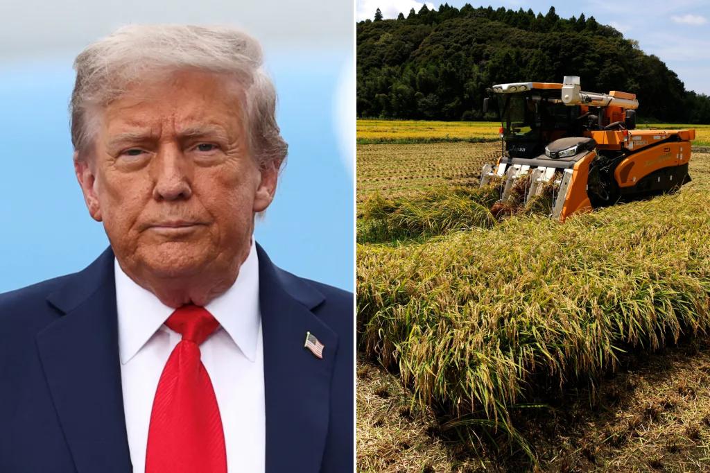 Trump's request for Japan to import more US rice stalled trade discussions, report says