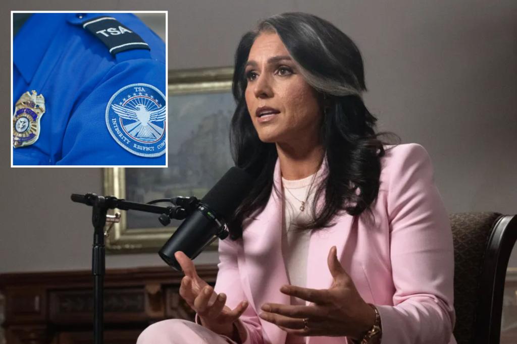 Tulsi Gabbard discusses her experience on the TSA watchlist: 'It makes no sense at all'