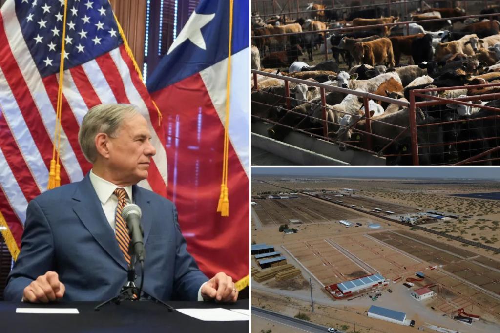 US verifies the first human case of travel-related screwworm linked to Central American outbreak