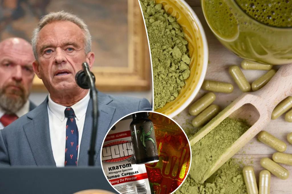 Understanding kratom: Insights into the addictive supplement during the crackdown