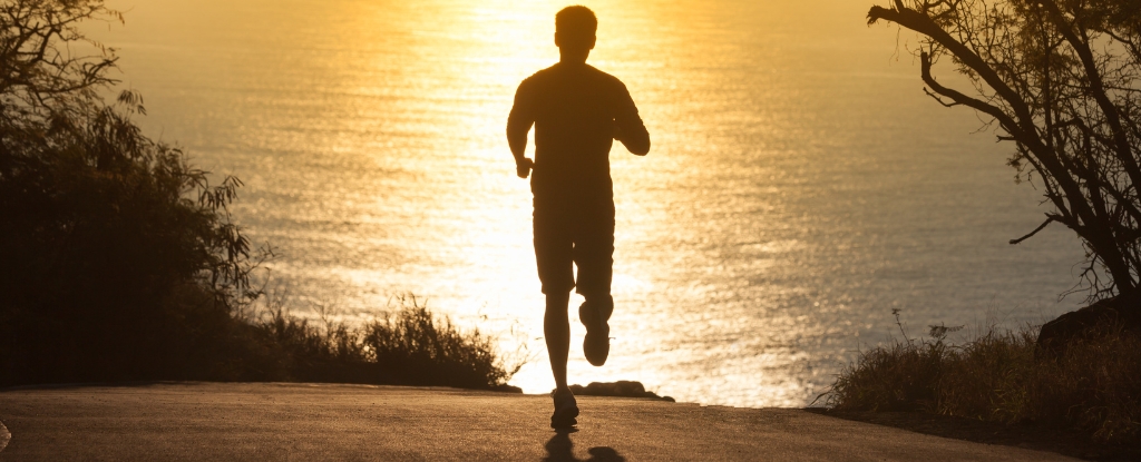 Unexpected Find of Increased Cancer Risk in Top Runners Can Be Clarified