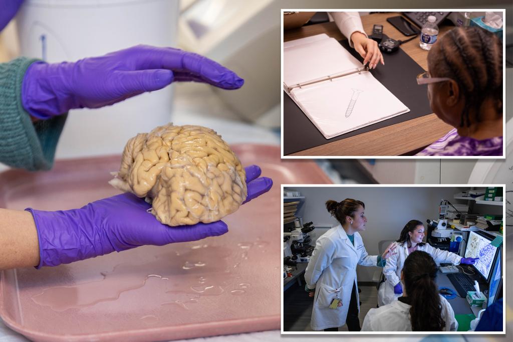 Unique brain features could protect 'SuperAgers' from dementia