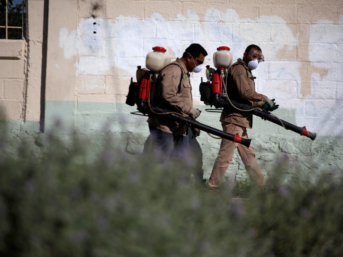 What is the chikungunya virus and how are countries like China combating it?