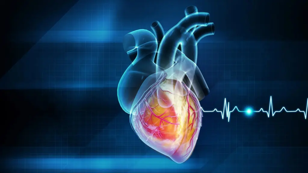 Widely used heart medication discovered to be ineffective and potentially dangerous