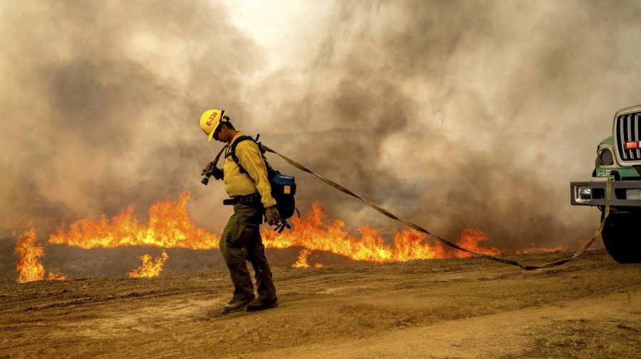 Wildfires may be increasing local death rates by two-thirds: Study